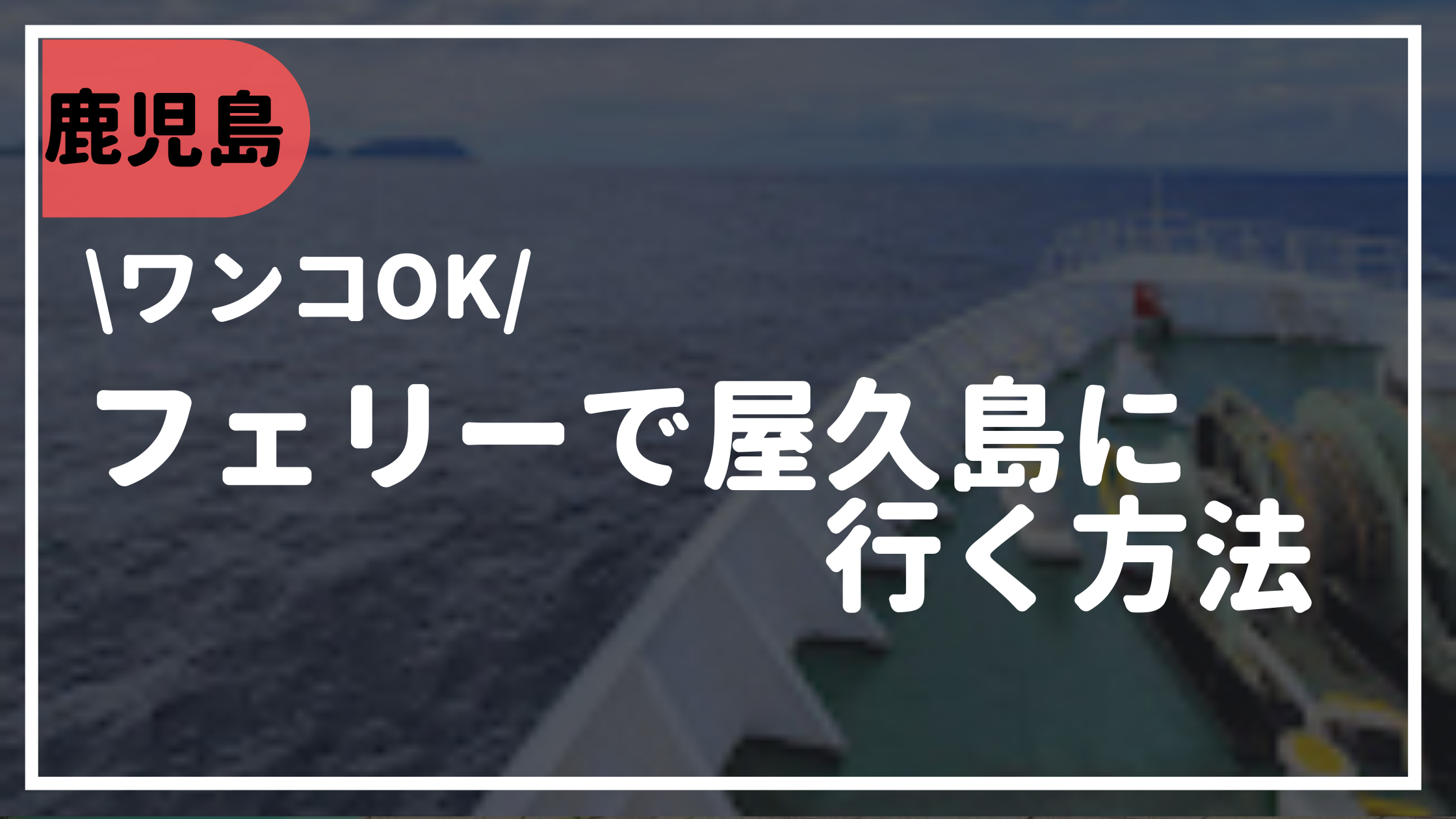 鹿児島県 屋久島にフェリーで犬と一緒に行く方法 1泊2日で縄文杉は見にいけるのか 犬と旅する