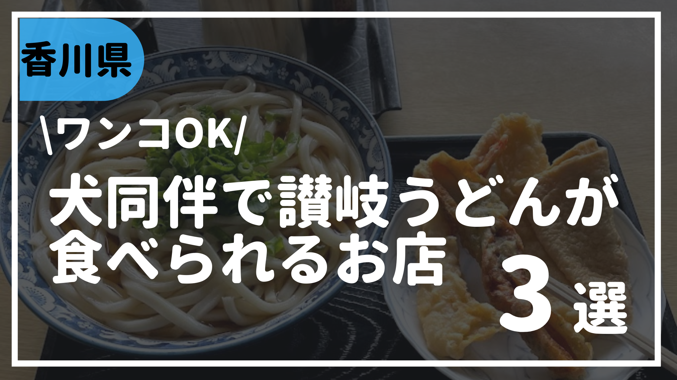 香川県 讃岐うどんを犬と一緒に食べたい てんてこ舞 山下うどん あやうた製麺を楽しんだレポート 犬と旅する