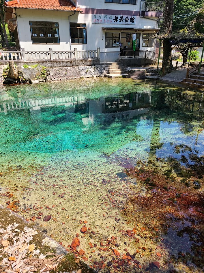 透き通った池