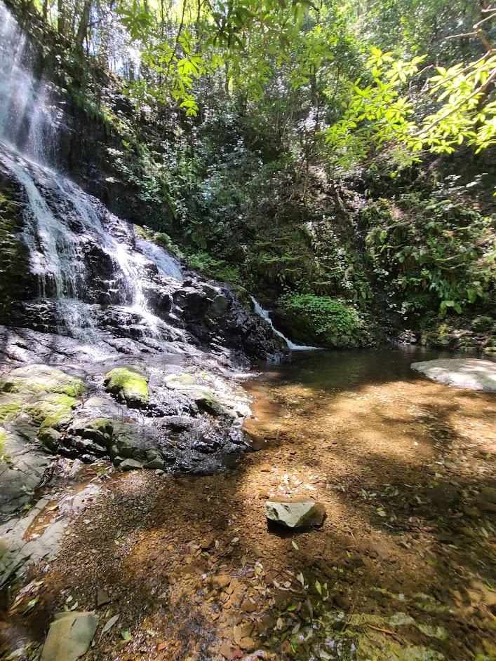 秋芳白糸の滝