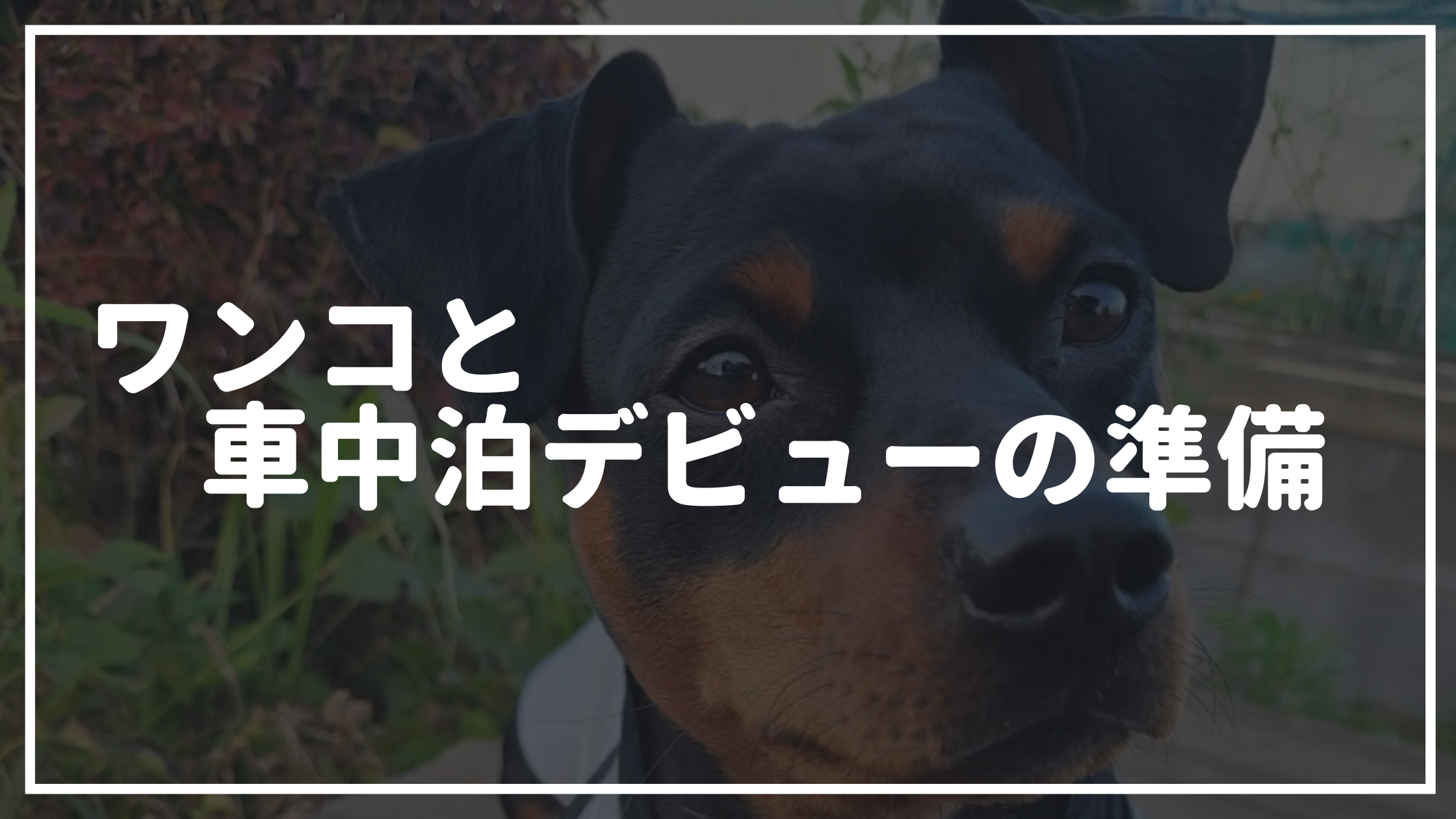 犬と車中泊デビューに必要な準備 持ち物リストはこちら 身近で揃えられる 最低限の荷物 犬と旅する