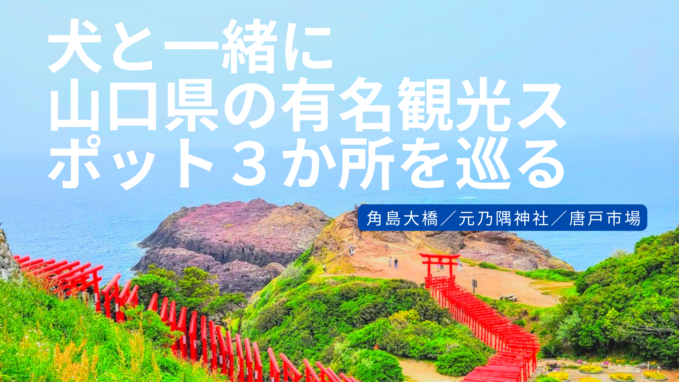 山口県 犬と一緒に山口県ドライブ 角島大橋 元乃隅神社 唐戸市場を堪能 犬と旅する