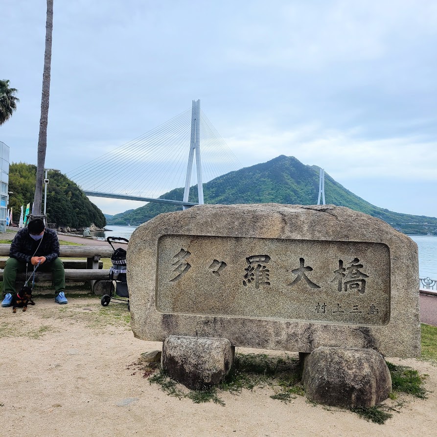 道の駅からの景色