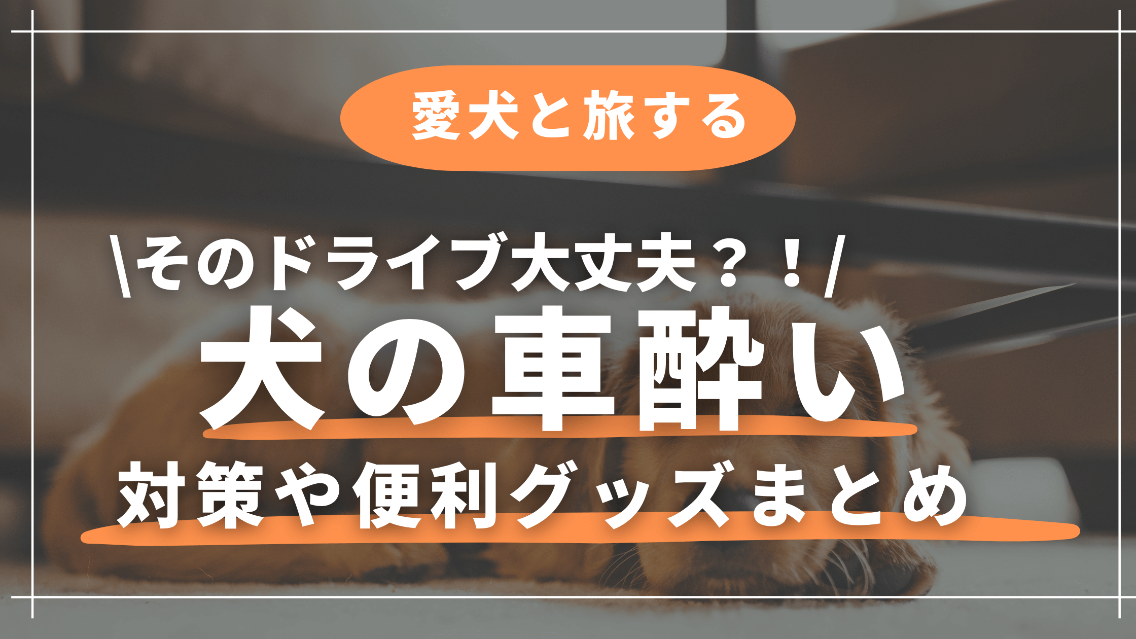 犬 【車酔い】対策グッズ｜愛犬との快適ドライブを叶えるおすすめアイテム