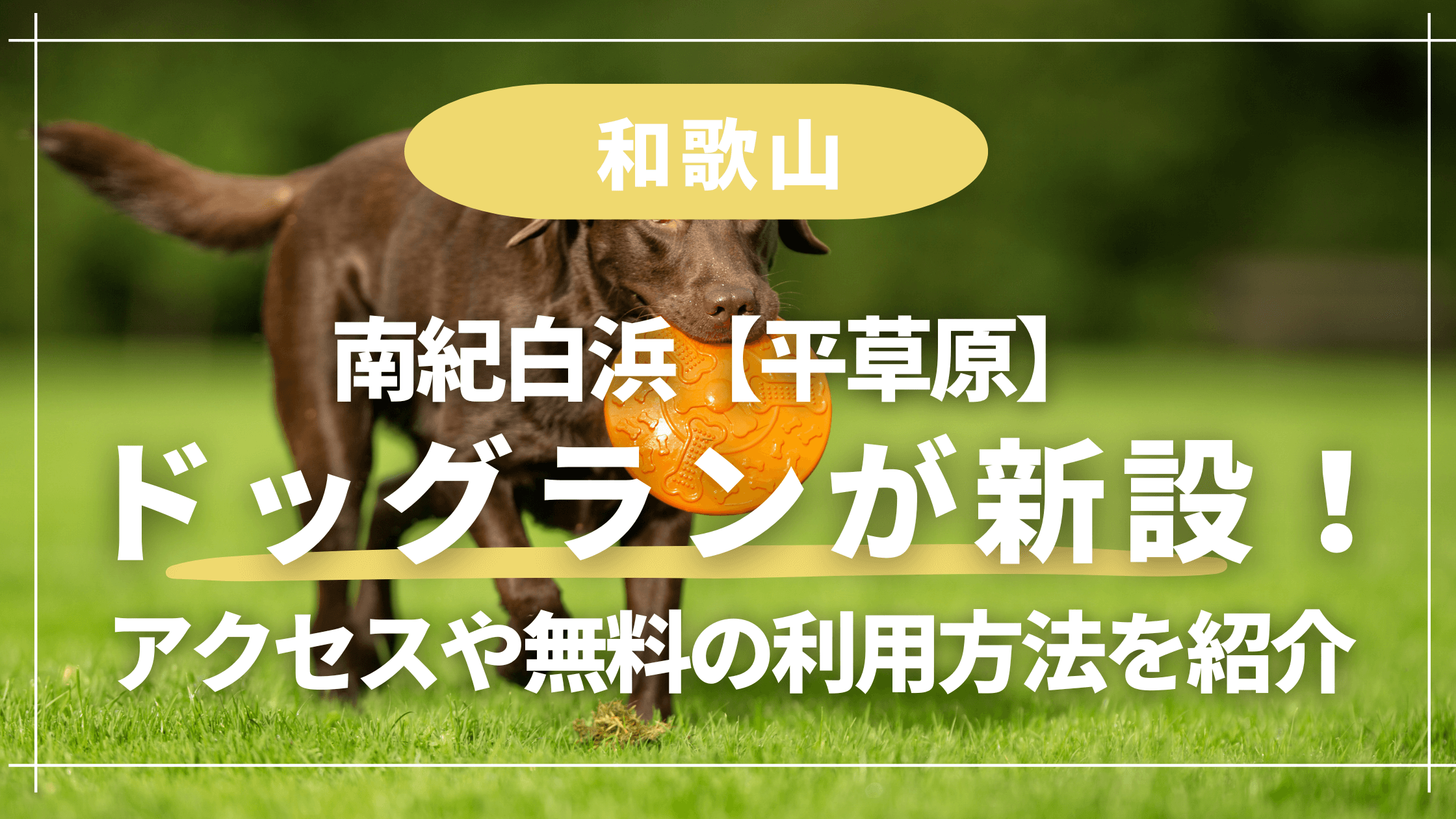 南紀白浜【平草原】ドッグランが新設！アクセスや無料の利用方法を紹介