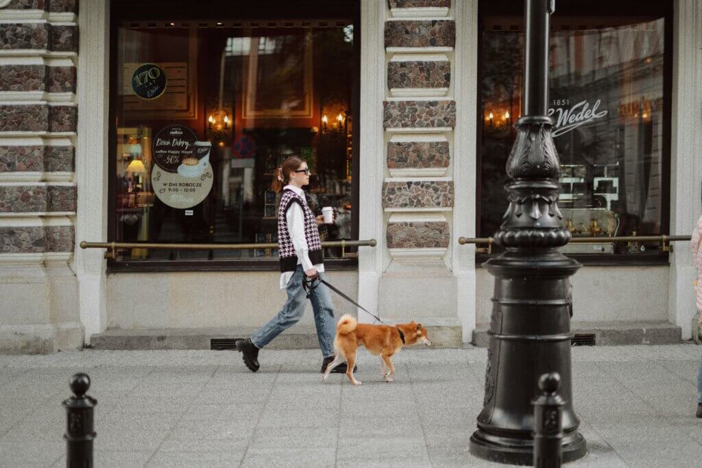 豊洲 の【犬連れ】 新設カフェ｜ANEA CAFEがNewOpen！愛犬と楽しむ癒し時間