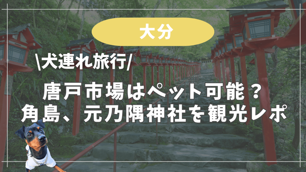 【犬連れ旅行】唐戸市場はペット可能？角島、元乃隅神社を観光レポート
